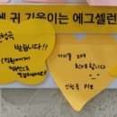 에그셀런트압구정 이미지