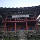 은행나무로 이미지