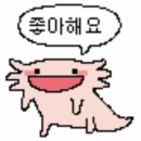 고려대현대차경영관점블루포트 | [일기] 글태기가 와서 블루포트 카페에서 빈둥빈둥하다가 인왕산 산책 갔다 옴