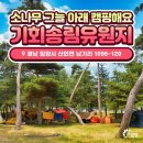 기회유원지 이미지