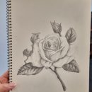 일상을 그리다 어반스케치 이미지