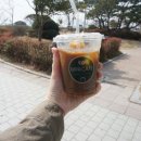 천원세상 이미지