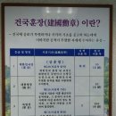 한국인이 꼭 알아야 할 경북 구미의 항일 독립투사 세분(한글파일 첨부) 이미지