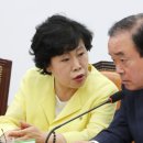 평화당1979 이미지