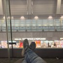 돈케이몰(D.KMALL) | [25.11월] 울림있던 히로시마 여행