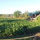 오륜농장 이미지