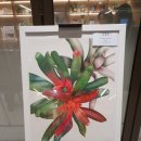 봄맞이 꽃그림 보태니컬 아트 이미지