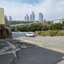 노란 | 부산 청사포 조개구이 노란마후라 후기 내돈내산