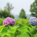 한강시민공원 이미지