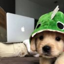 궁전파크 이미지