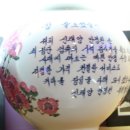 신태양안경원 Daum카페