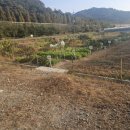 내동면시민텃밭 이미지