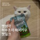 해피카우 | 행소행냥 펫생각 하루조이 해피카우 펫밀크 내돈내산 급여후기