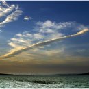 고빈정 물회 이미지