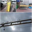 백련세차장 이미지