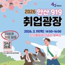 919 데일리안