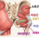머슬96짐