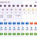 [제주도날씨] 이번주 제주도 주간날씨 2015년1월1일~1월10일 이미지