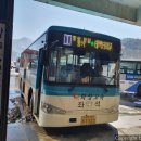 강원 74자 1122 이미지