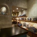 기프트 펫 이미지