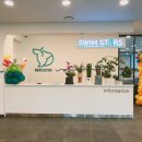 스윔 스타즈 이미지