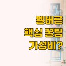 멜버른 중심가 숙소 추천 가성비 vs 프리미엄 아파트호텔 완벽 비교