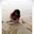 대천해수욕장 야영장 이미지