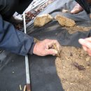 무주 농원 이미지