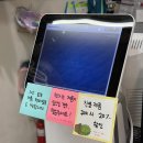 용사 | 서울 종로 오프라인 수영복 매장 체용사 내돈내산 솔직후기