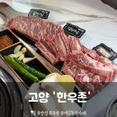 동헌로 | [고양] 서서울cc맛집 올림픽cc맛집 1++ 소고기 버디세트 '한우존' 후기