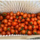 11305-10-12 | [절약] 모바일온누리상품권 구매방법/사용방법/사용처/실제사용 후기