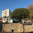 사림동123 이미지