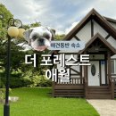 파넬테라스한달살기애월독채팬션 | 제주 애견동반 가성비 숙소 더포레스트애월 (할인정보, 한달살기 자동차 렌트)