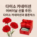 다이소 카네이션 후기 – 가성비 최고 어버이날 선물!