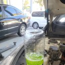 지디카프라자 이미지