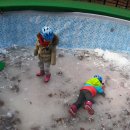 솔미농장 이미지