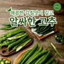 연씨네 야채농장
