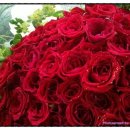 행복한날들 이미지