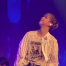 5959 내강아지 이미지