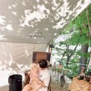 경남 양산/ 부산 근교 배내골 캠핑장 추천 ! 캠핑배내 1번 사이트 [쿠디 에어텐트 8.0 후기]
