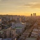 짜우리아 이미지