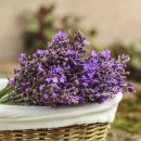 라벤더크리닝 이미지