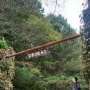 율도근린공원(족구장) | [대전] 대덕구 가볼만한 곳 추천 TOP 8