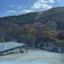 무주 반딧골캠핑장 1박2일 단풍캠핑, 할로윈캠핑 사이트18
