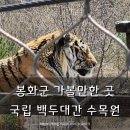 경북 봉화군 가볼만한 곳 호랑이가 있는 국립백두대간수목원
