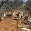 무지개농원 이미지