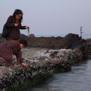 천진낭만 이미지