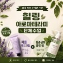 갈산도서관(1) | 경기·김포 힐링아로마테라피 단체강의 후기- 부평구립 갈산도서관｜퍼퓸 핸드크림 만들기 &amp; 통증완화...
