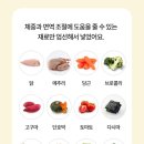 미트팡 | 페노비스 미트팡 강아지 화식🧡 솔직 후기! (체중&면역 닭고기&메추리)