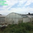 동일리-4 네이버블로그